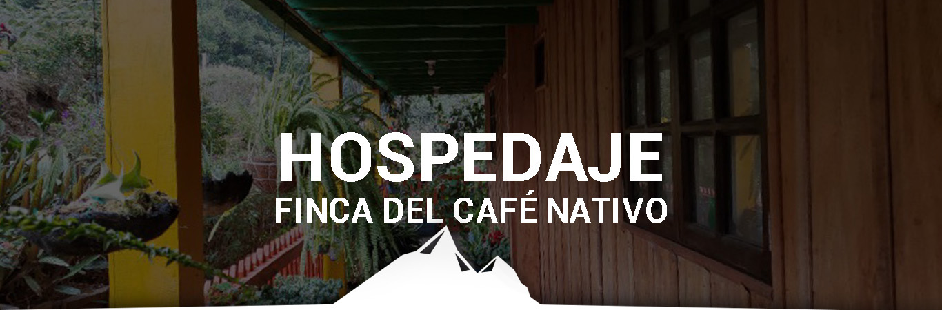 cabañas y cafe