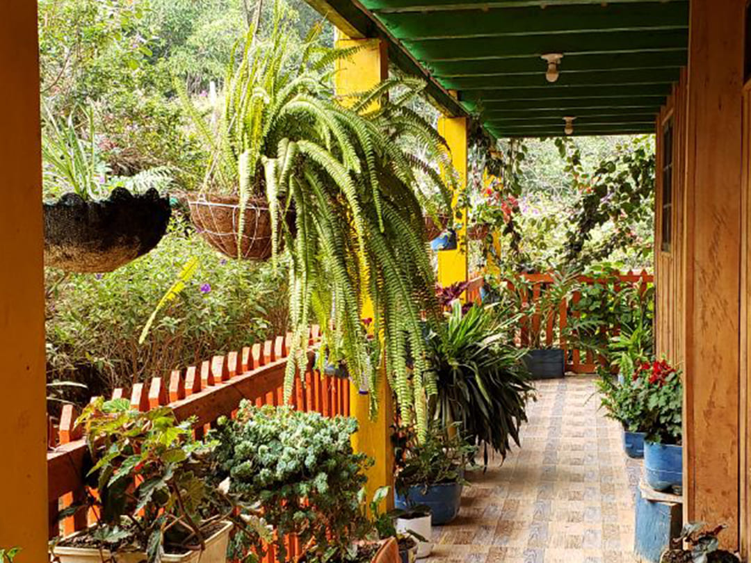 café el daniel