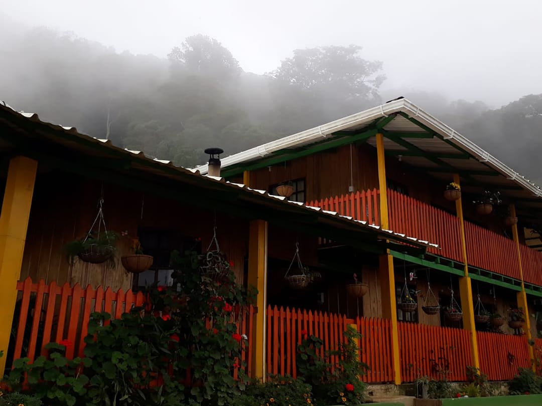 café el daniel